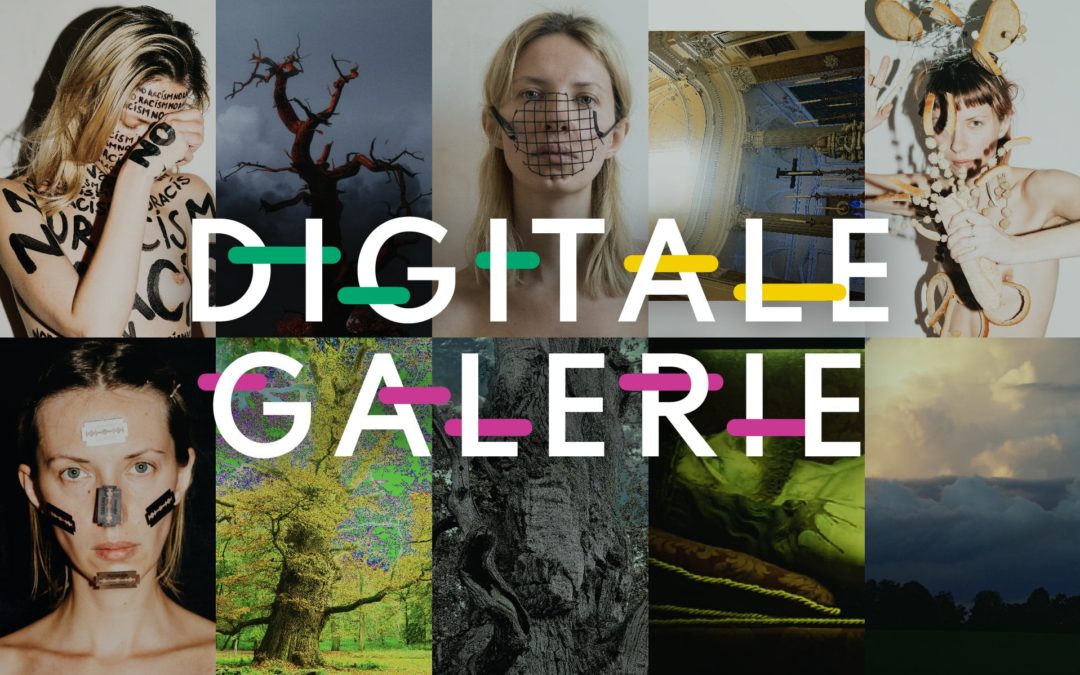 Digitale Galerie – Ausstellung „Fragile“